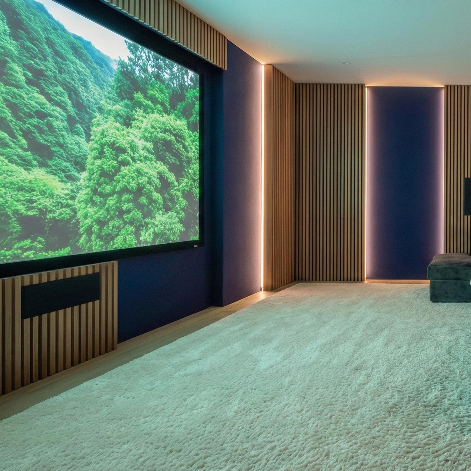 Minimalist media room featuring wood slat panels and a plush white rug
